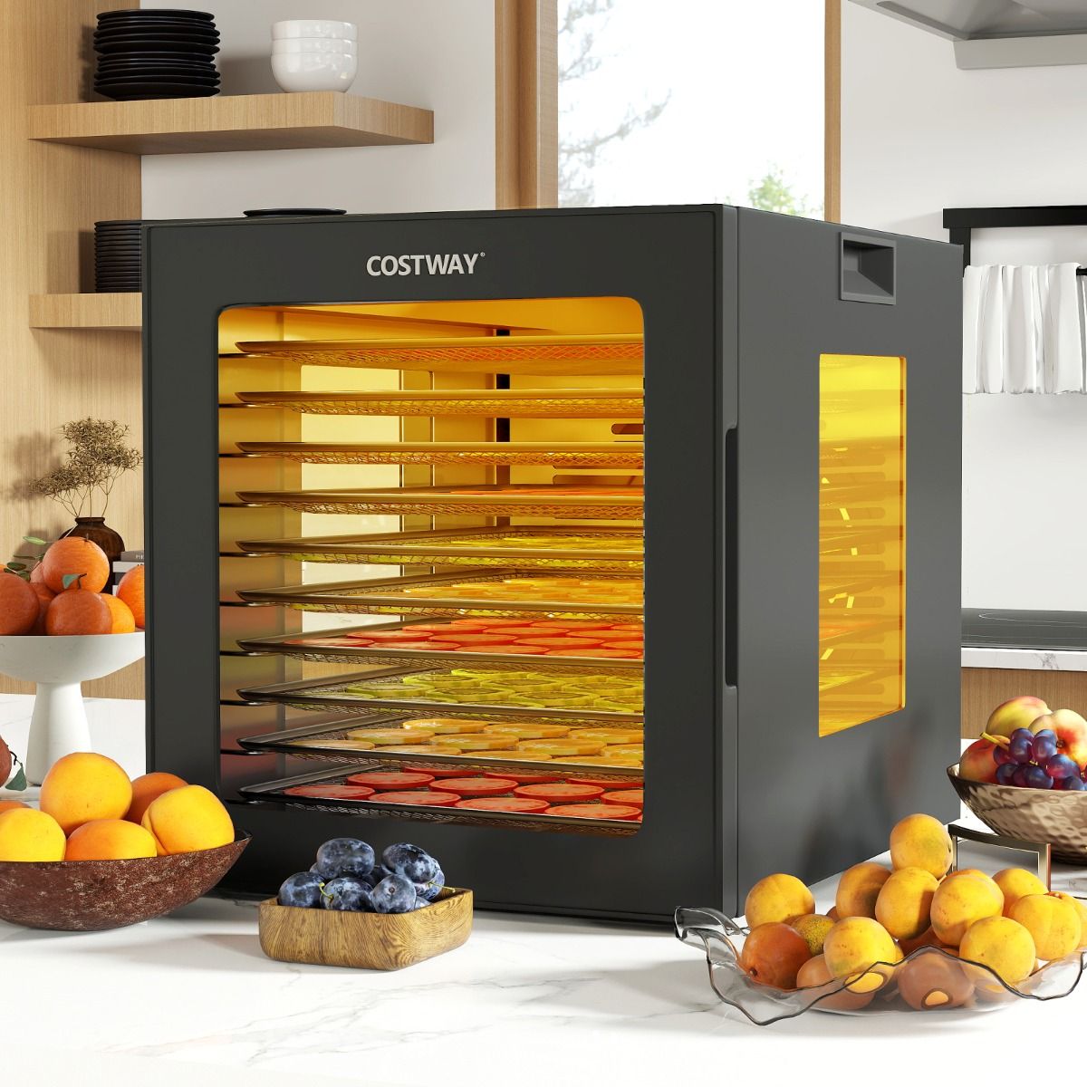 Food Dehydrator 10 Tray Stainless Steel Dryer with 10 Preset Programs 48H Timer & 30-75Temperature Black -