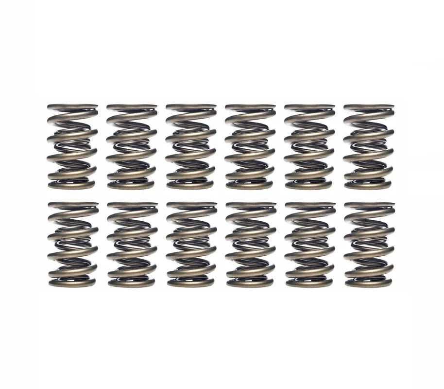 Ferrea 80lbs Exhaust Dual Valve Spring Kit - VW/Audi / 2.7T 30V
