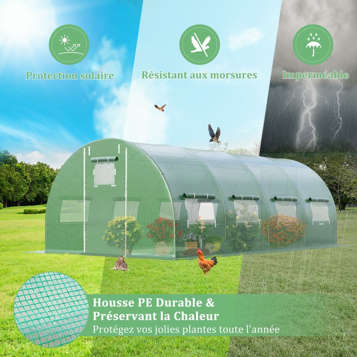 Tunnel Greenhouse Heavy Duty Galvanized Steel Frame Windproof Tunnel Greenhouse with Hoop 8 Roll Up Windows Green -